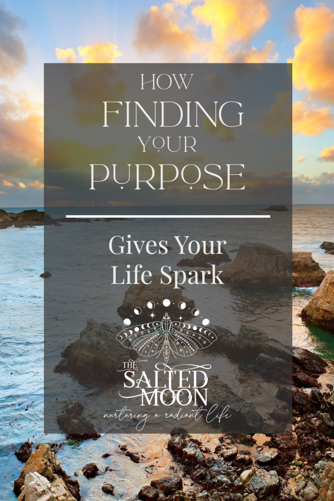 how finding your purpose give your life spark salted moon Cynthia Saltman