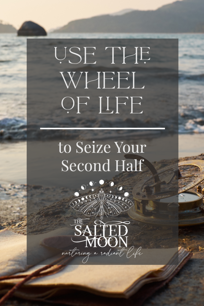 wheel of life 7 realms salted moon Cynthia Saltman